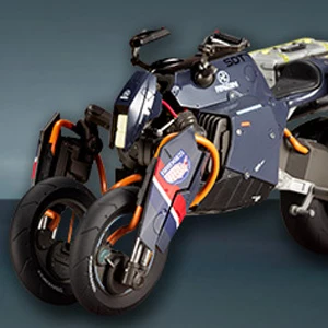 REVERSE TRIKE