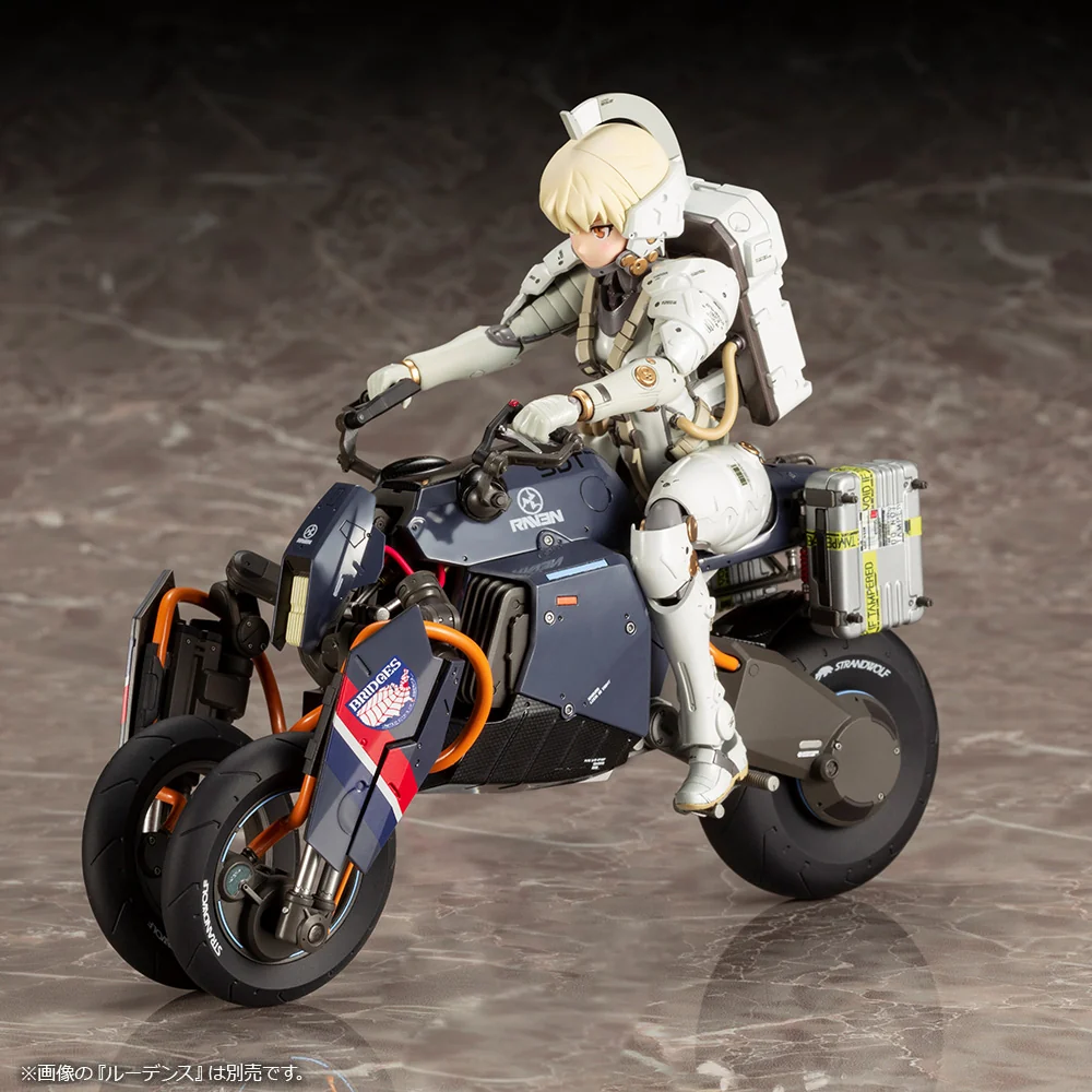REVERSE TRIKE - Image 17