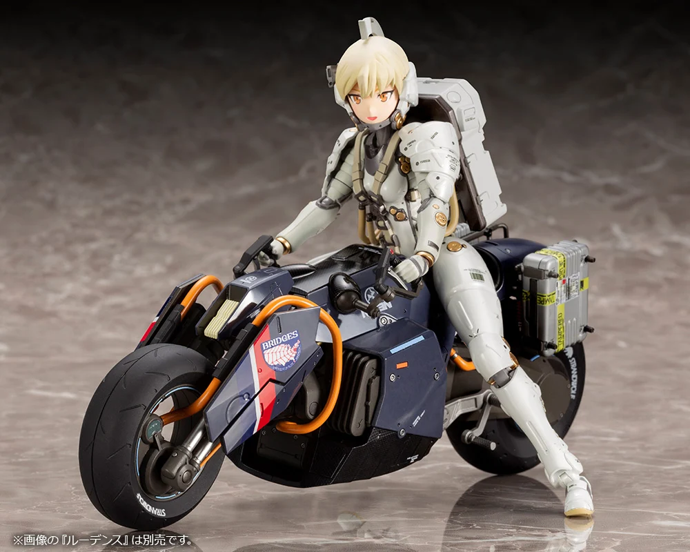 REVERSE TRIKE - Image 18