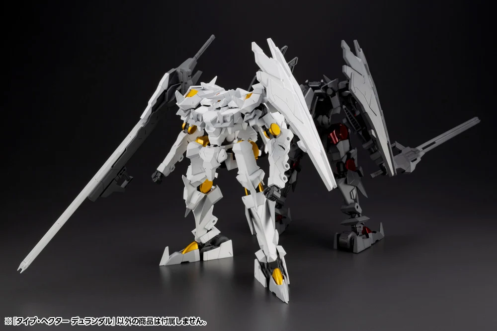 TYPE-HECTOR DURANDAL - Image 17