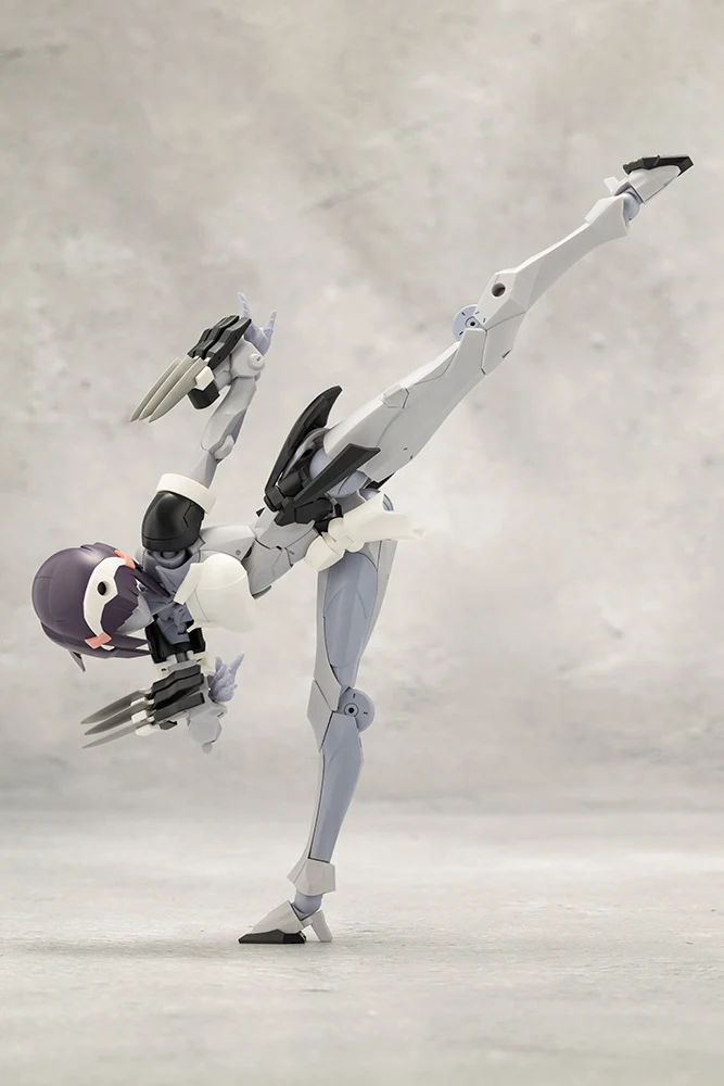 NOVICE - Image 4