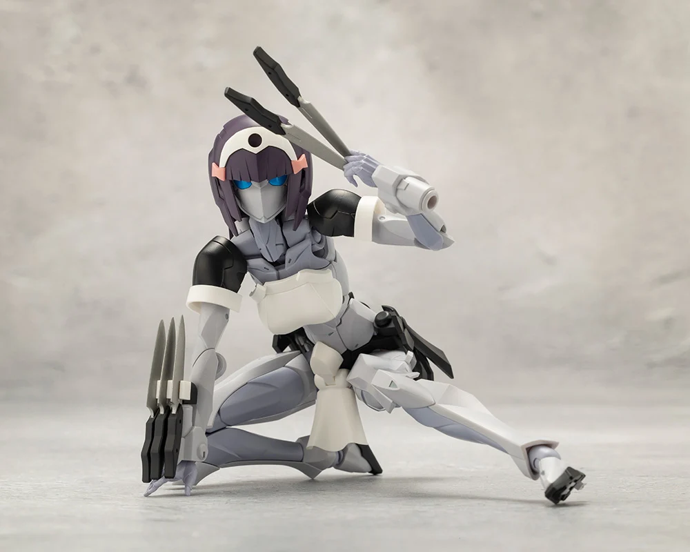 NOVICE - Image 6