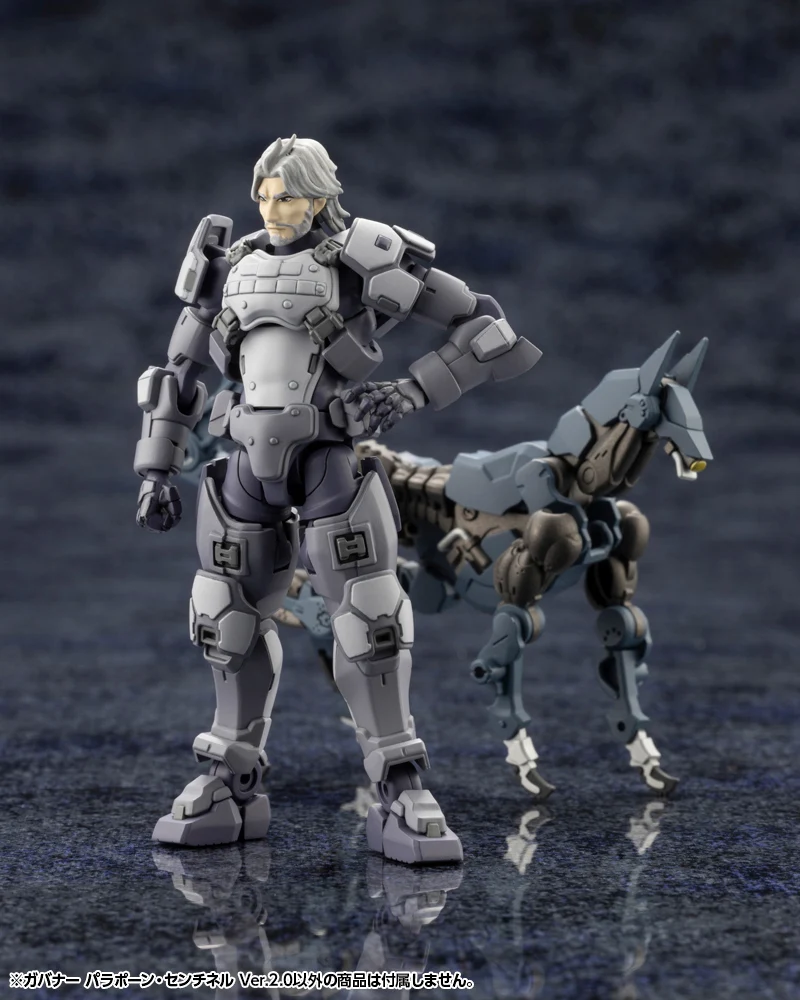 GOVERNOR PARA-PAWN SENTINEL Ver.2.0 - Image 2