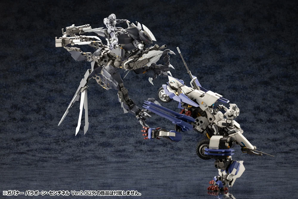GOVERNOR PARA-PAWN SENTINEL Ver.2.0 - Image 9