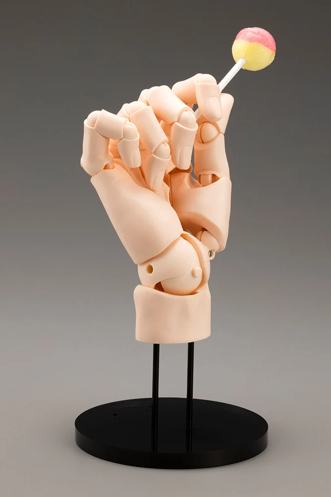 ARTIST SUPPORT ITEM HAND MODEL/L -PALE ORANGE- - Image 5