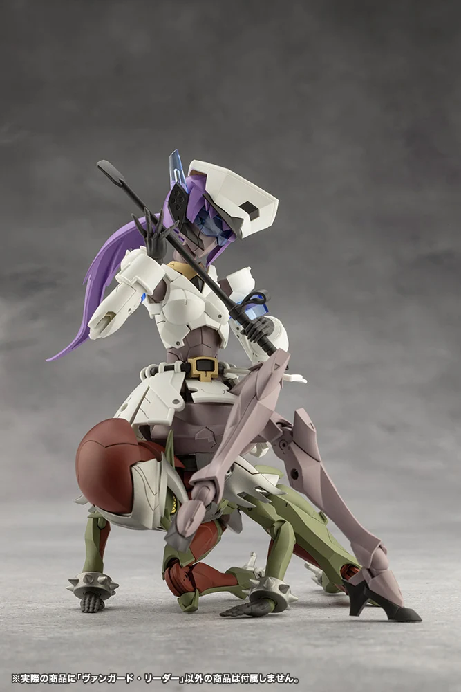 VANGUARD LEADER - Image 13