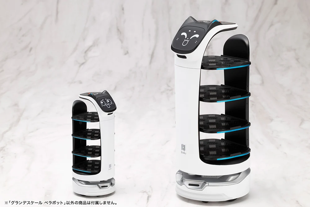 GRANDE SCALE BellaBot - Image 12