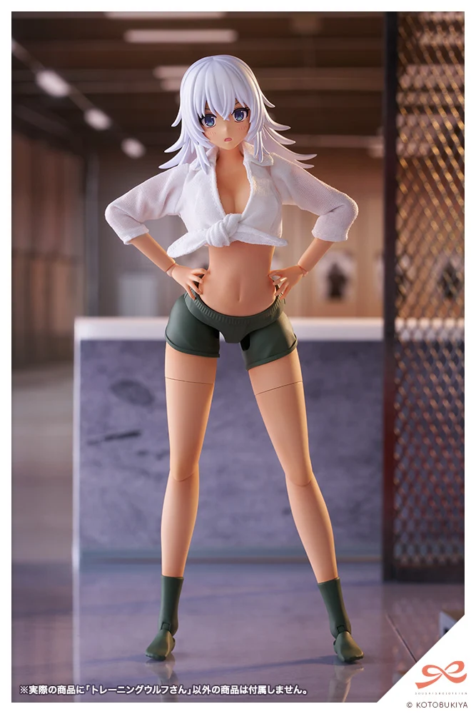 Training WOLF - Image 5