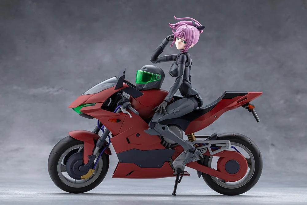 EMULATOR RIDING PACKAGE - Image 11