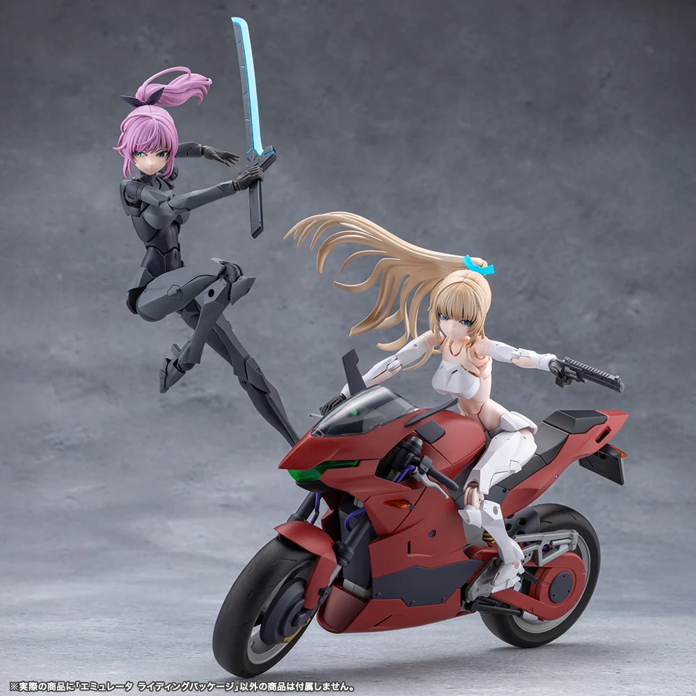 EMULATOR RIDING PACKAGE - Image 25